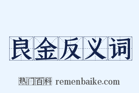 良金反义词是什么意思的图片